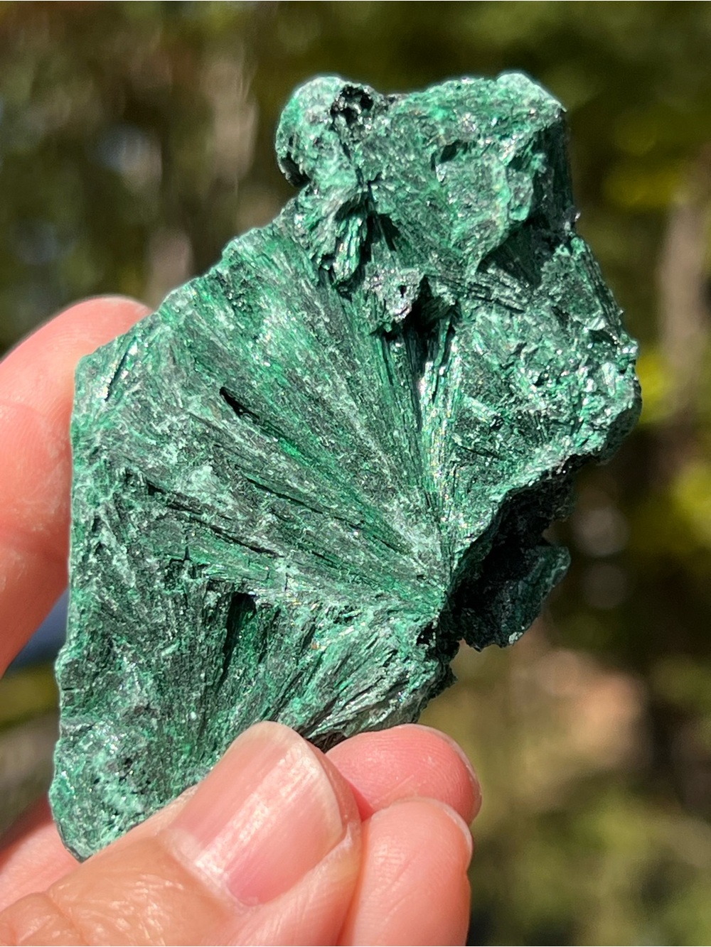 Malachite (14) specimen with stand | Crystal